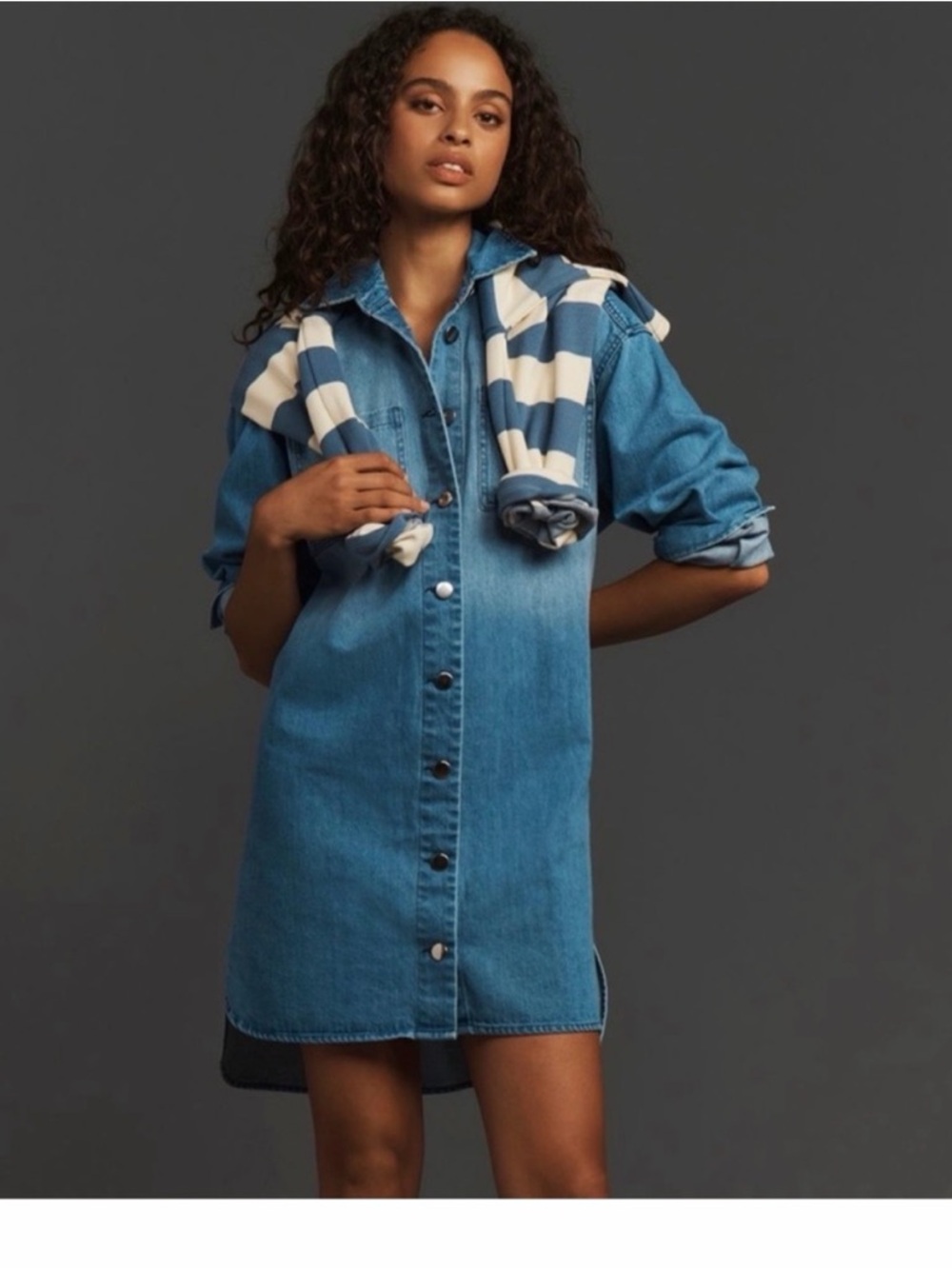 NWT Anthropology Porridge Dress